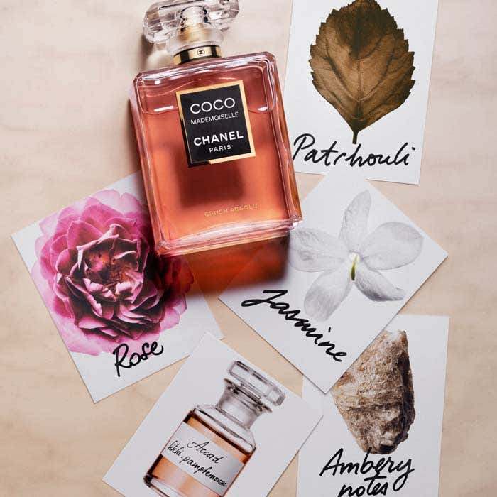 CRUSH ABSOLU Eau De Parfum 50ml Spray