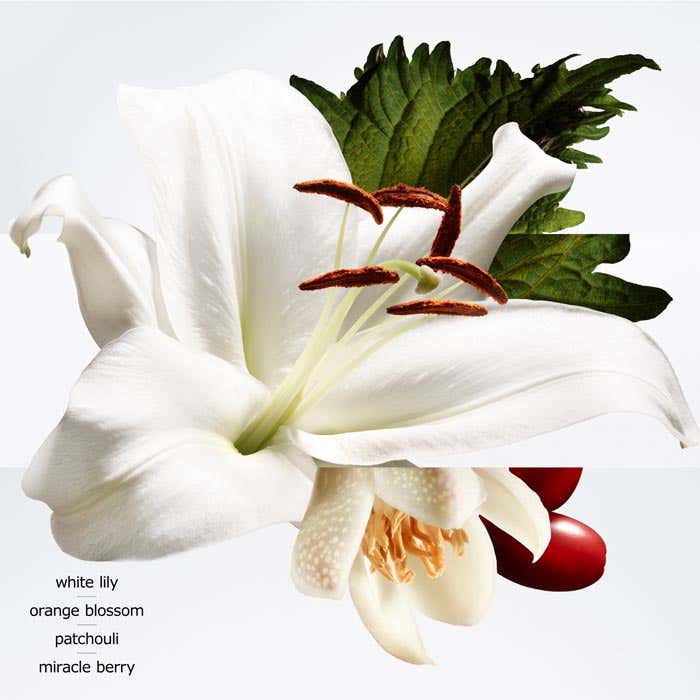 Eau De Parfum 100ml Gift Set