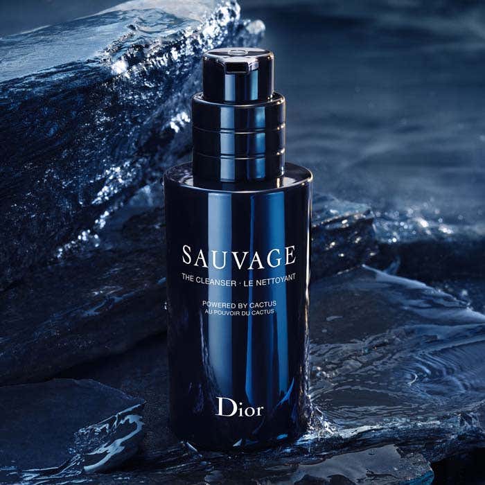 The Cleanser