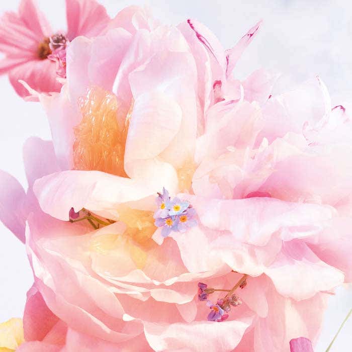 Blooming Bouquet Eau De Toilette 20ml