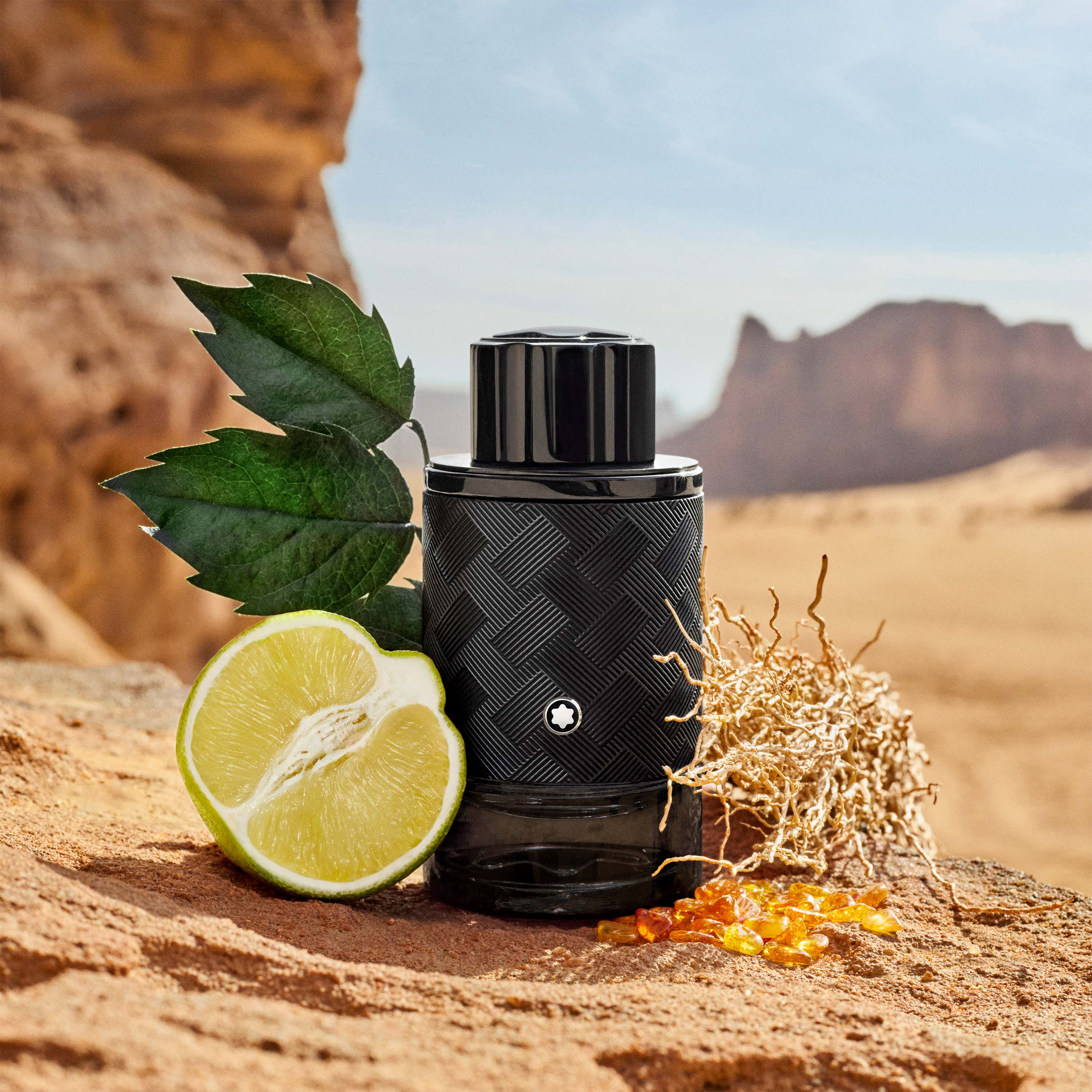 Parfum 100ml Gift Set