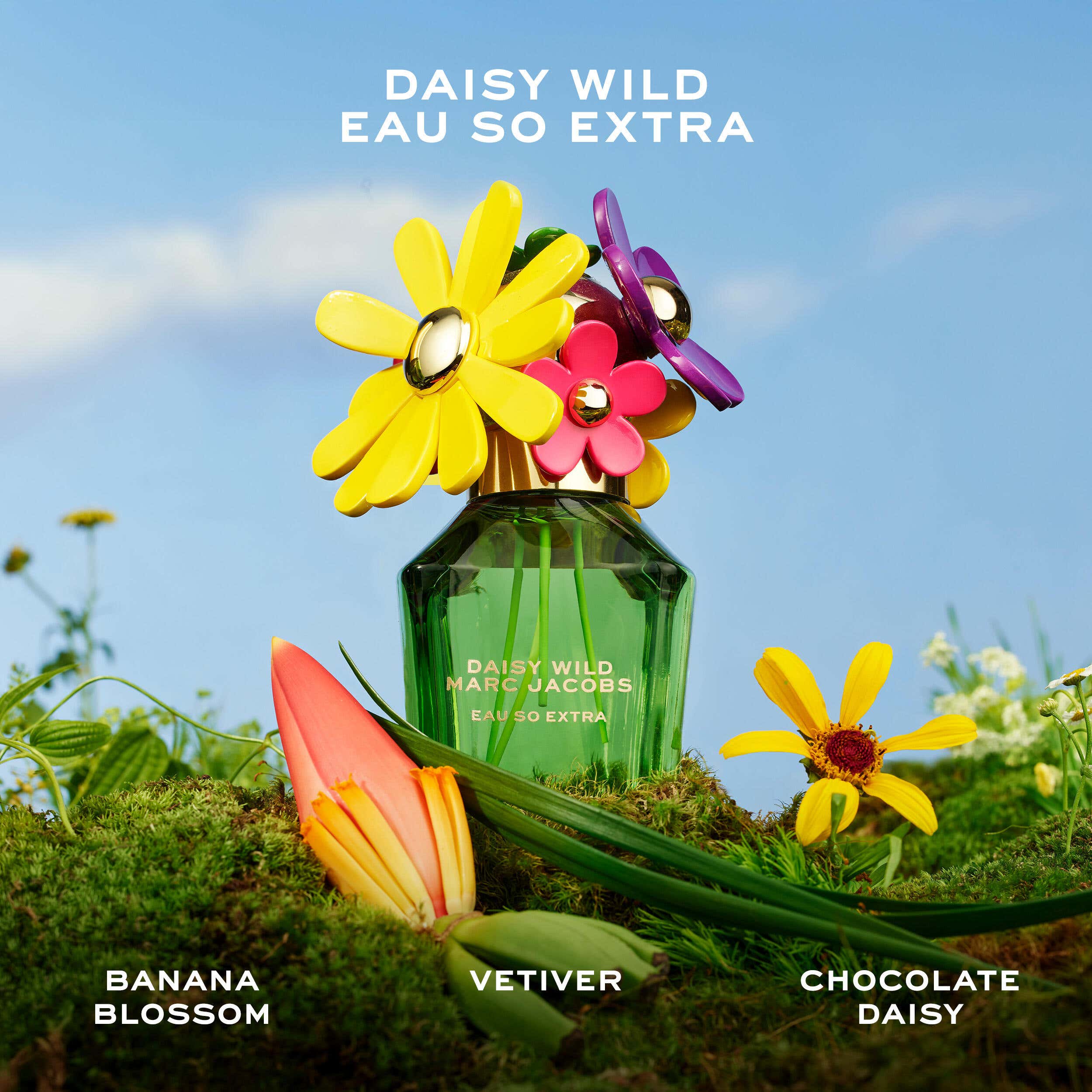 Eau De Parfum 100ml Spray