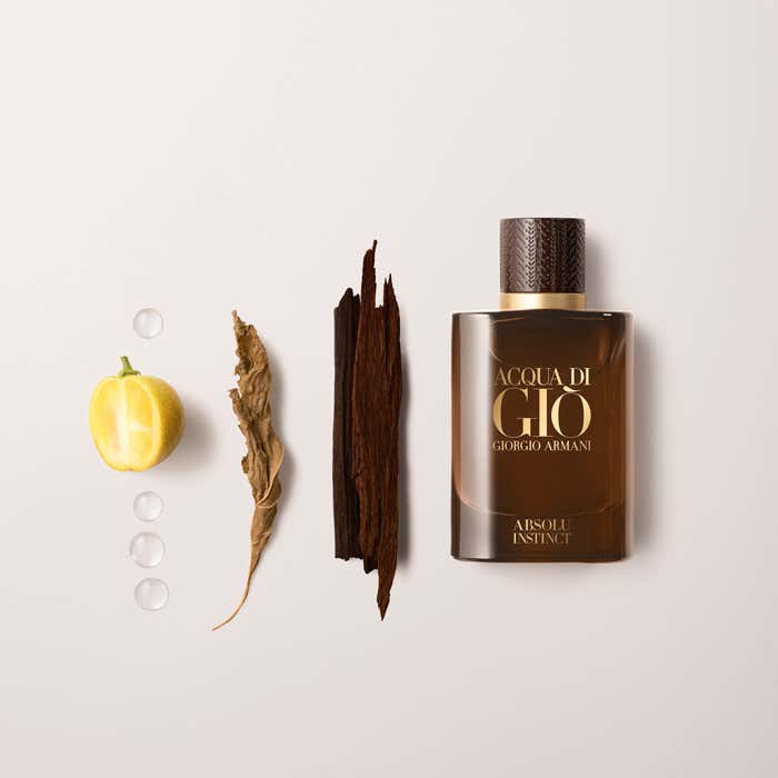 Absolu Instinct Eau De Parfum 75ml Spray