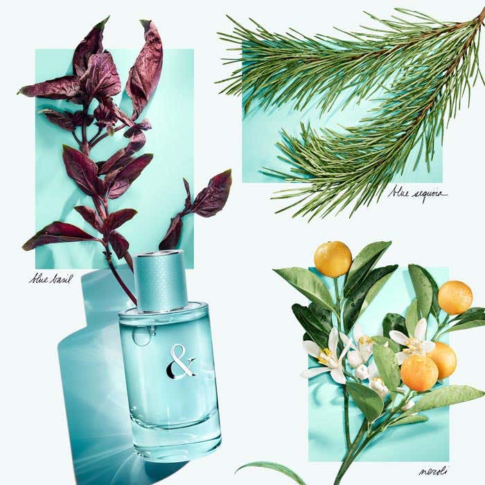 Eau De Parfum 50ml