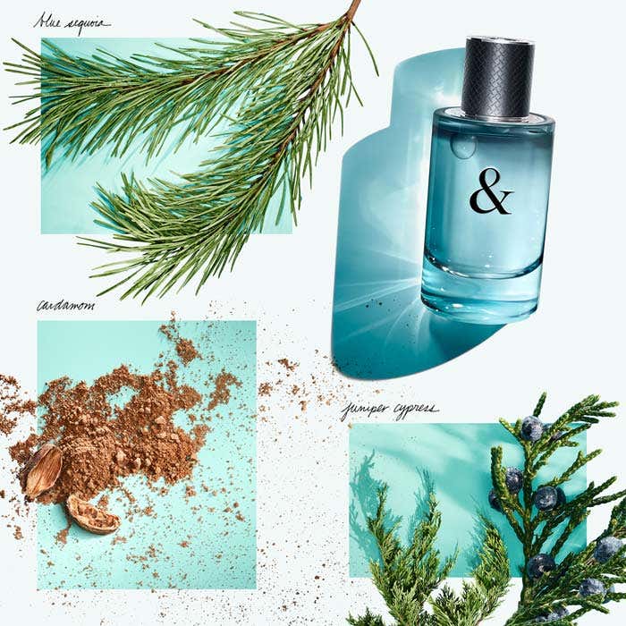 Eau De Toilette 90ml