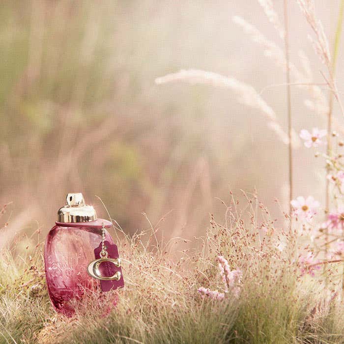 Wild Rose Eau De Parfum 50ml Spray